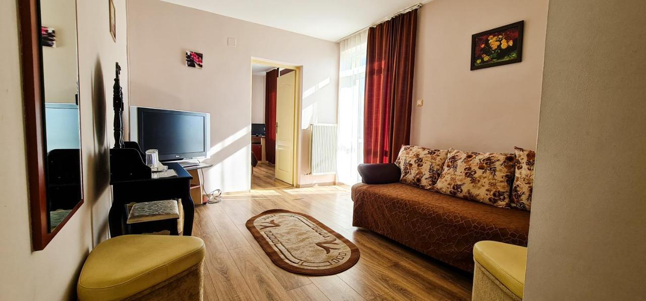 Vila Europa Cluj-Napoca Buitenkant foto