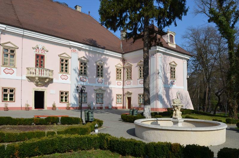 Vila Europa Cluj-Napoca Buitenkant foto