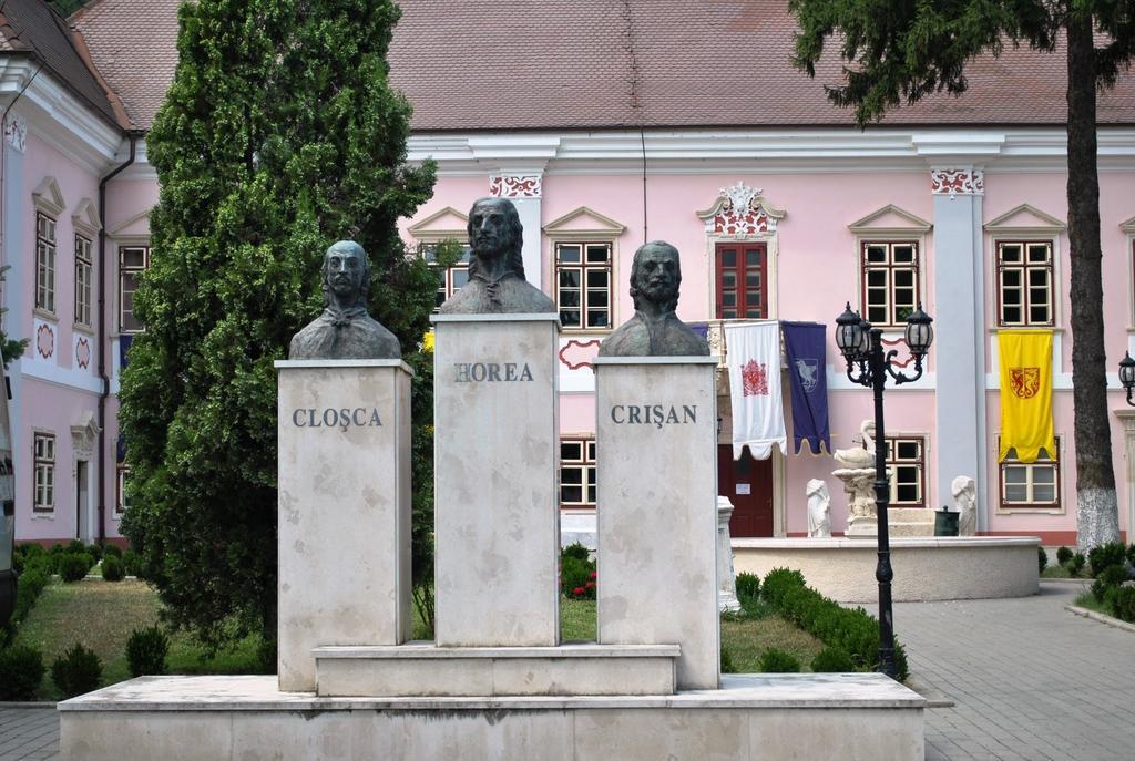 Vila Europa Cluj-Napoca Buitenkant foto